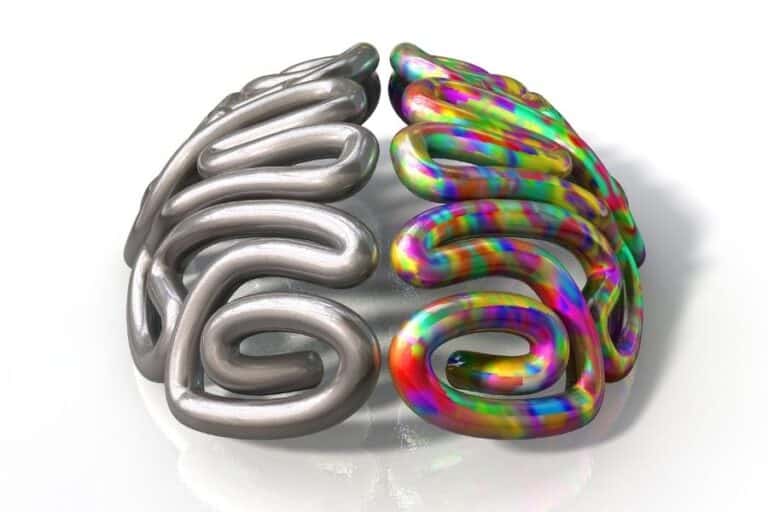 Picture of Left vs Right Brain for Emotional Thinking